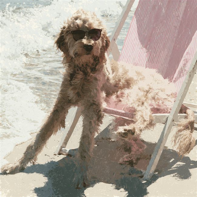 Ejemplo de estilo Playero Vintage en mascota