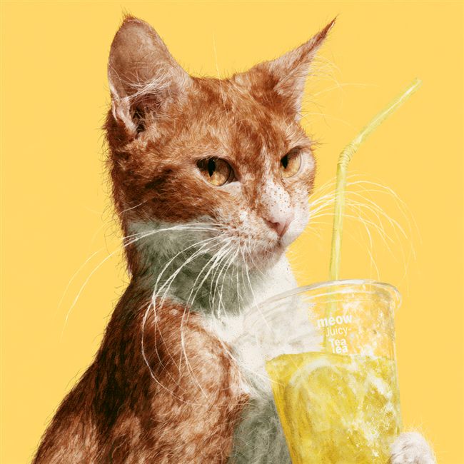 Ejemplo de estilo Pop Art en mascota