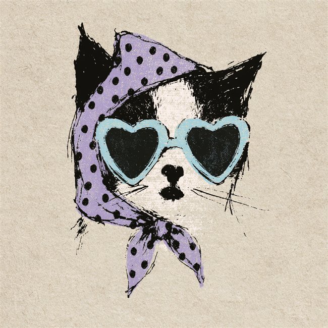 Ejemplo de estilo Punk Rock en mascota